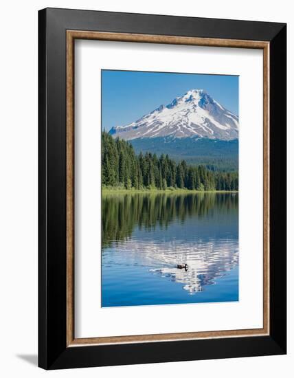 Mount Hood, part of the Cascade Range, perfectly reflected in the still waters of Trillium Lake, Or-Martin Child-Framed Photographic Print