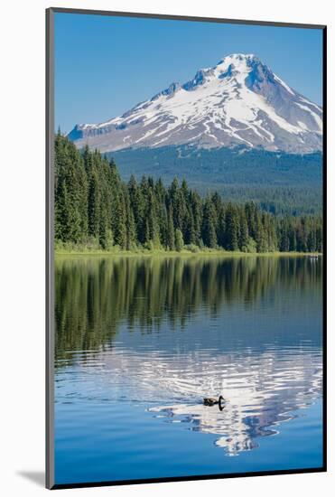 Mount Hood, part of the Cascade Range, perfectly reflected in the still waters of Trillium Lake, Or-Martin Child-Mounted Photographic Print