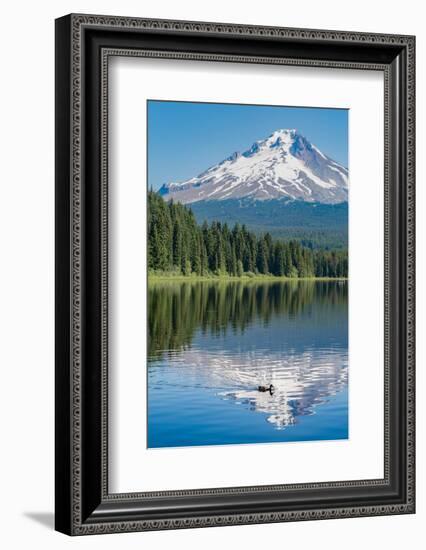 Mount Hood, part of the Cascade Range, perfectly reflected in the still waters of Trillium Lake, Or-Martin Child-Framed Photographic Print