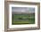 Mount Hood seen from Columbia Hills State Park, Washington State-Alan Majchrowicz-Framed Photographic Print