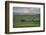 Mount Hood seen from Columbia Hills State Park, Washington State-Alan Majchrowicz-Framed Photographic Print