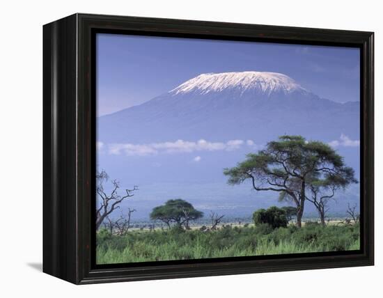 Mount Kilimanjaro, Amboseli National Park, Kenya-Art Wolfe-Framed Premier Image Canvas