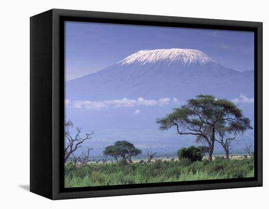 Mount Kilimanjaro, Amboseli National Park, Kenya-Art Wolfe-Framed Premier Image Canvas