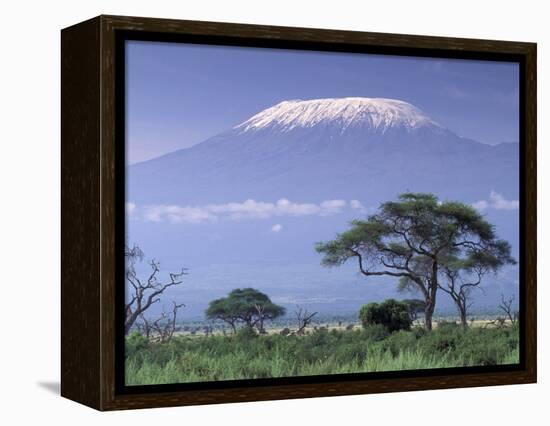 Mount Kilimanjaro, Amboseli National Park, Kenya-Art Wolfe-Framed Premier Image Canvas