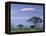 Mount Kilimanjaro, Amboseli National Park, Kenya-Art Wolfe-Framed Premier Image Canvas