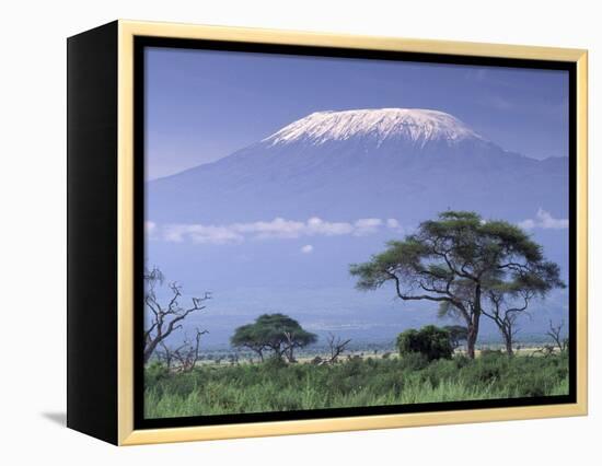 Mount Kilimanjaro, Amboseli National Park, Kenya-Art Wolfe-Framed Premier Image Canvas