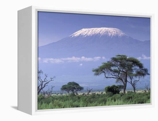 Mount Kilimanjaro, Amboseli National Park, Kenya-Art Wolfe-Framed Premier Image Canvas