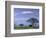 Mount Kilimanjaro, Amboseli National Park, Kenya-Art Wolfe-Framed Photographic Print