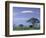 Mount Kilimanjaro, Amboseli National Park, Kenya-Art Wolfe-Framed Photographic Print