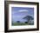 Mount Kilimanjaro, Amboseli National Park, Kenya-Art Wolfe-Framed Photographic Print