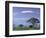 Mount Kilimanjaro, Amboseli National Park, Kenya-Art Wolfe-Framed Photographic Print