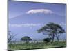 Mount Kilimanjaro, Amboseli National Park, Kenya-Art Wolfe-Mounted Photographic Print