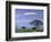 Mount Kilimanjaro, Amboseli National Park, Kenya-Art Wolfe-Framed Photographic Print