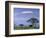 Mount Kilimanjaro, Amboseli National Park, Kenya-Art Wolfe-Framed Photographic Print