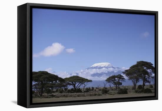 Mount Kilimanjaro, from Amboseli National Park-DLILLC-Framed Premier Image Canvas