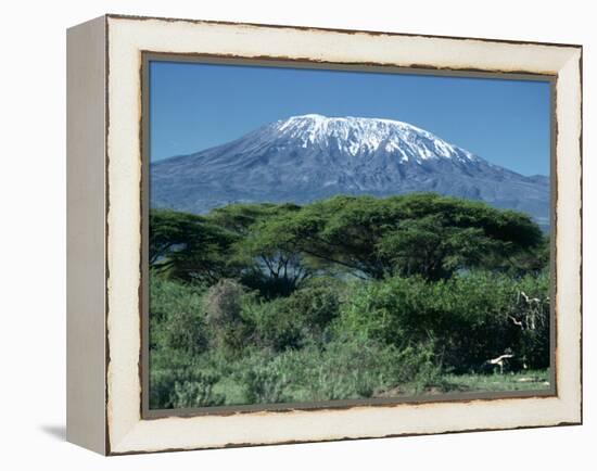 Mount Kilimanjaro, Tanzania, East Africa, Africa-Sassoon Sybil-Framed Premier Image Canvas