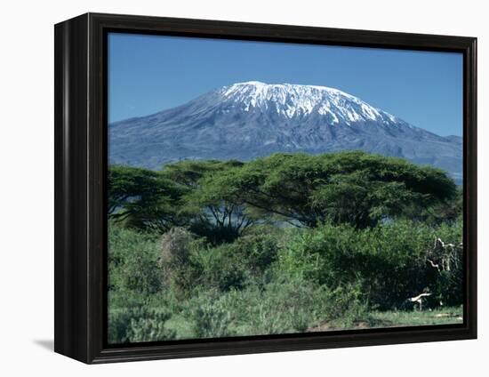 Mount Kilimanjaro, Tanzania, East Africa, Africa-Sassoon Sybil-Framed Premier Image Canvas
