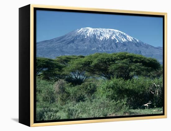 Mount Kilimanjaro, Tanzania, East Africa, Africa-Sassoon Sybil-Framed Premier Image Canvas