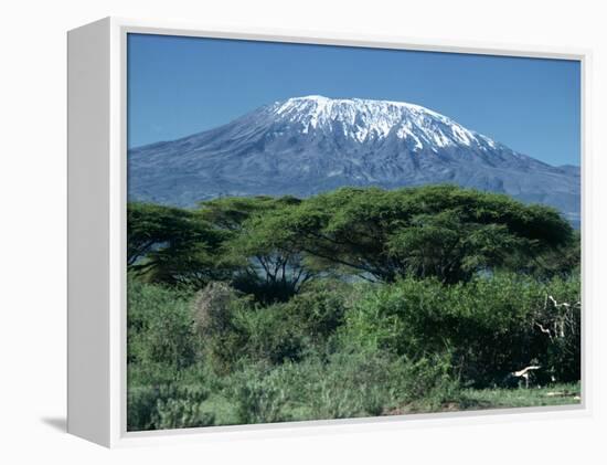 Mount Kilimanjaro, Tanzania, East Africa, Africa-Sassoon Sybil-Framed Premier Image Canvas