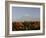 Mount Kilimanjaro, Tanzania, East Africa, Africa-Groenendijk Peter-Framed Photographic Print