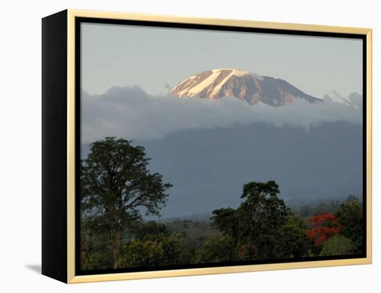 Mount Kilimanjaro, UNESCO World Heritage Site, Tanzania, East Africa, Africa-Groenendijk Peter-Framed Premier Image Canvas