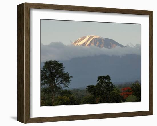 Mount Kilimanjaro, UNESCO World Heritage Site, Tanzania, East Africa, Africa-Groenendijk Peter-Framed Photographic Print