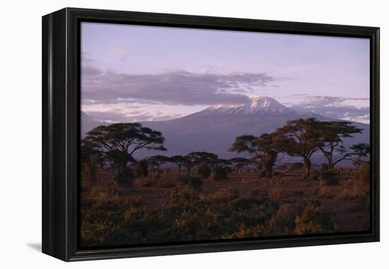 Mount Kilimanjaro-DLILLC-Framed Premier Image Canvas