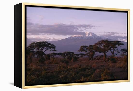 Mount Kilimanjaro-DLILLC-Framed Premier Image Canvas