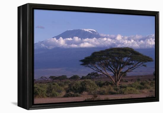 Mount Kilimanjaro-DLILLC-Framed Premier Image Canvas