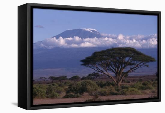 Mount Kilimanjaro-DLILLC-Framed Premier Image Canvas