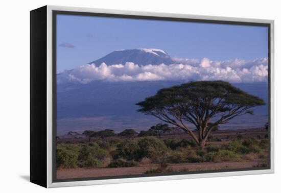 Mount Kilimanjaro-DLILLC-Framed Premier Image Canvas