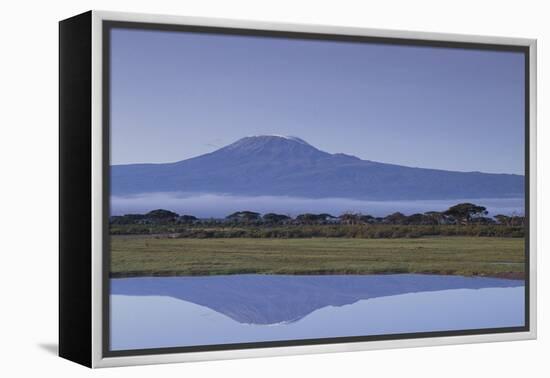 Mount Kilimanjaro-DLILLC-Framed Premier Image Canvas