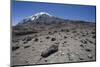 Mount Kilimanjaro-null-Mounted Photographic Print
