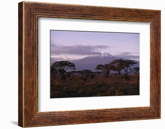 Mount Kilimanjaro-DLILLC-Framed Photographic Print