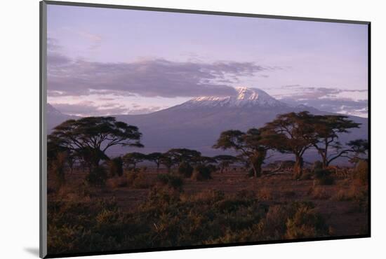 Mount Kilimanjaro-DLILLC-Mounted Photographic Print