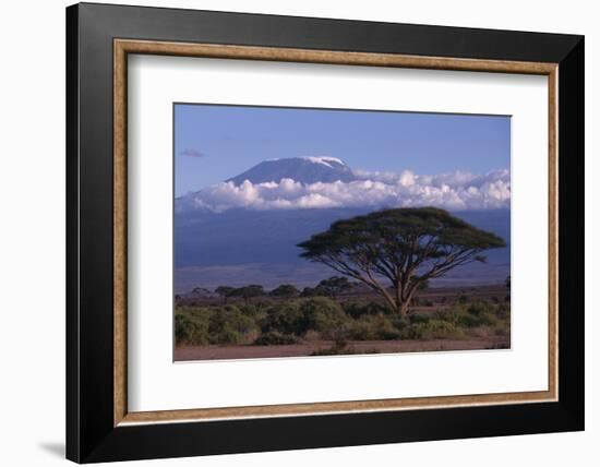 Mount Kilimanjaro-DLILLC-Framed Photographic Print