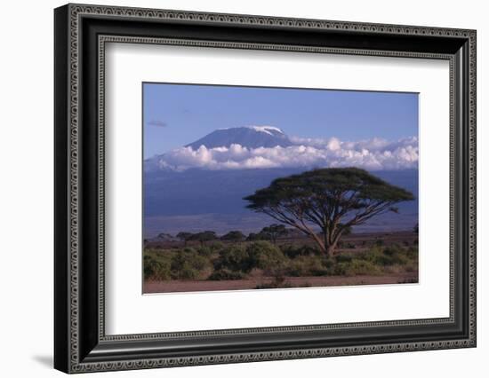 Mount Kilimanjaro-DLILLC-Framed Photographic Print