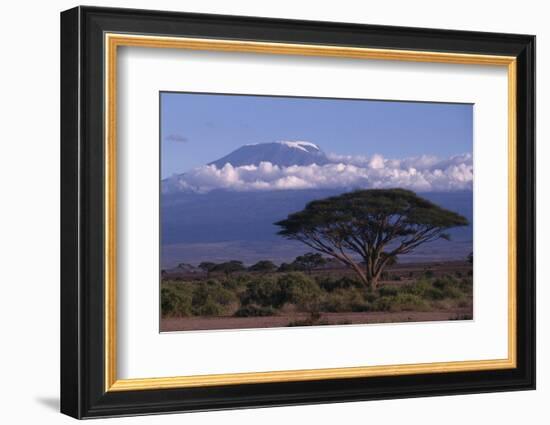 Mount Kilimanjaro-DLILLC-Framed Photographic Print