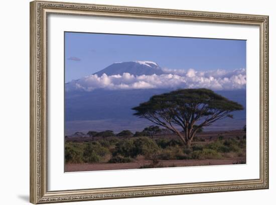 Mount Kilimanjaro-DLILLC-Framed Photographic Print