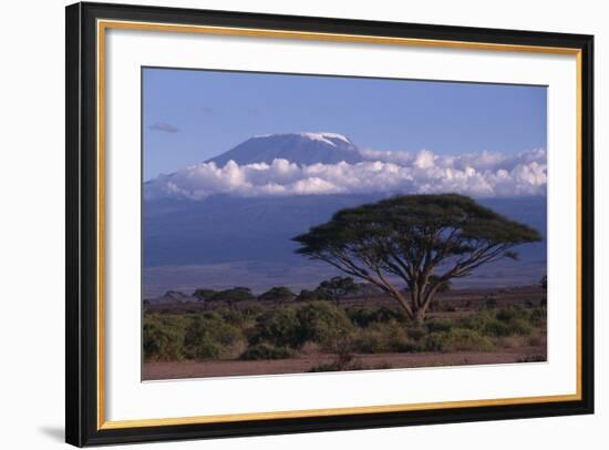 Mount Kilimanjaro-DLILLC-Framed Photographic Print