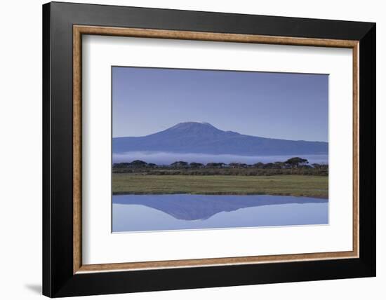 Mount Kilimanjaro-DLILLC-Framed Photographic Print