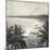 Mount Lavinia Bay, Ceylon, February 1912-English Photographer-Mounted Giclee Print