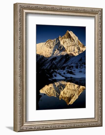 Mount Machapuchare(6997M) At Sunset. Annapurna Himal, Annapurna Sanctuary, Central Nepal-Enrique Lopez-Tapia-Framed Photographic Print