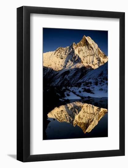 Mount Machapuchare(6997M) At Sunset. Annapurna Himal, Annapurna Sanctuary, Central Nepal-Enrique Lopez-Tapia-Framed Photographic Print