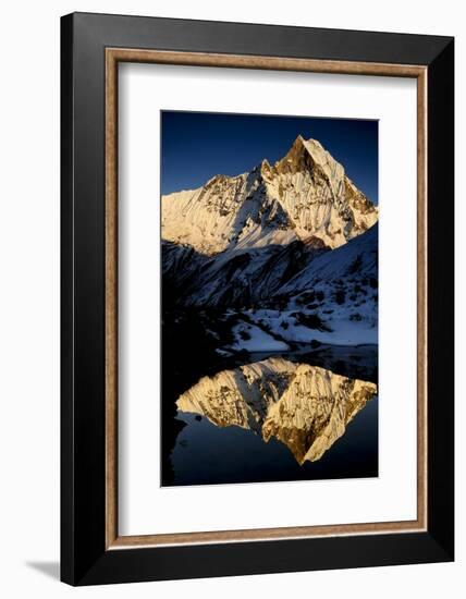 Mount Machapuchare(6997M) At Sunset. Annapurna Himal, Annapurna Sanctuary, Central Nepal-Enrique Lopez-Tapia-Framed Photographic Print