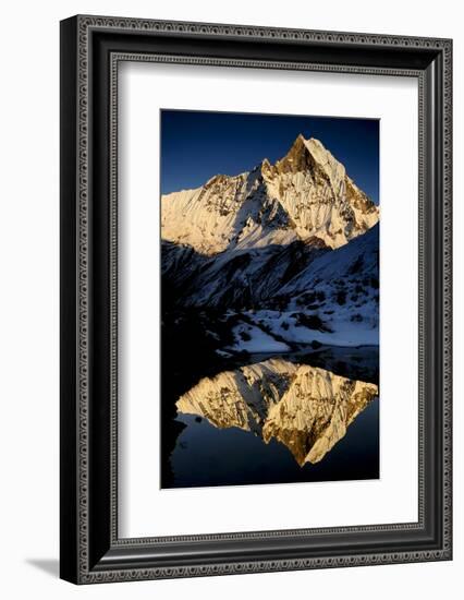 Mount Machapuchare(6997M) At Sunset. Annapurna Himal, Annapurna Sanctuary, Central Nepal-Enrique Lopez-Tapia-Framed Photographic Print