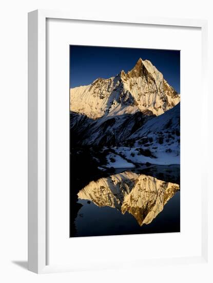 Mount Machapuchare(6997M) At Sunset. Annapurna Himal, Annapurna Sanctuary, Central Nepal-Enrique Lopez-Tapia-Framed Photographic Print