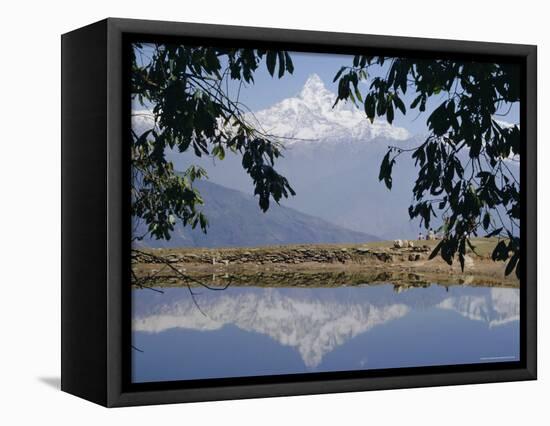 Mount Machapuchare (Machhapuchhare) Reflected in Phewa Lake, Himalayas, Nepal, Asia-N A Callow-Framed Premier Image Canvas