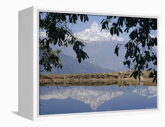 Mount Machapuchare (Machhapuchhare) Reflected in Phewa Lake, Himalayas, Nepal, Asia-N A Callow-Framed Premier Image Canvas