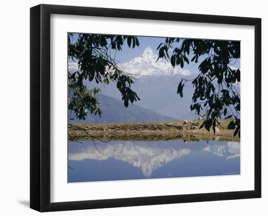 Mount Machapuchare (Machhapuchhare) Reflected in Phewa Lake, Himalayas, Nepal, Asia-N A Callow-Framed Photographic Print